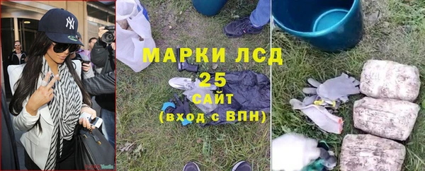 гидра Касимов